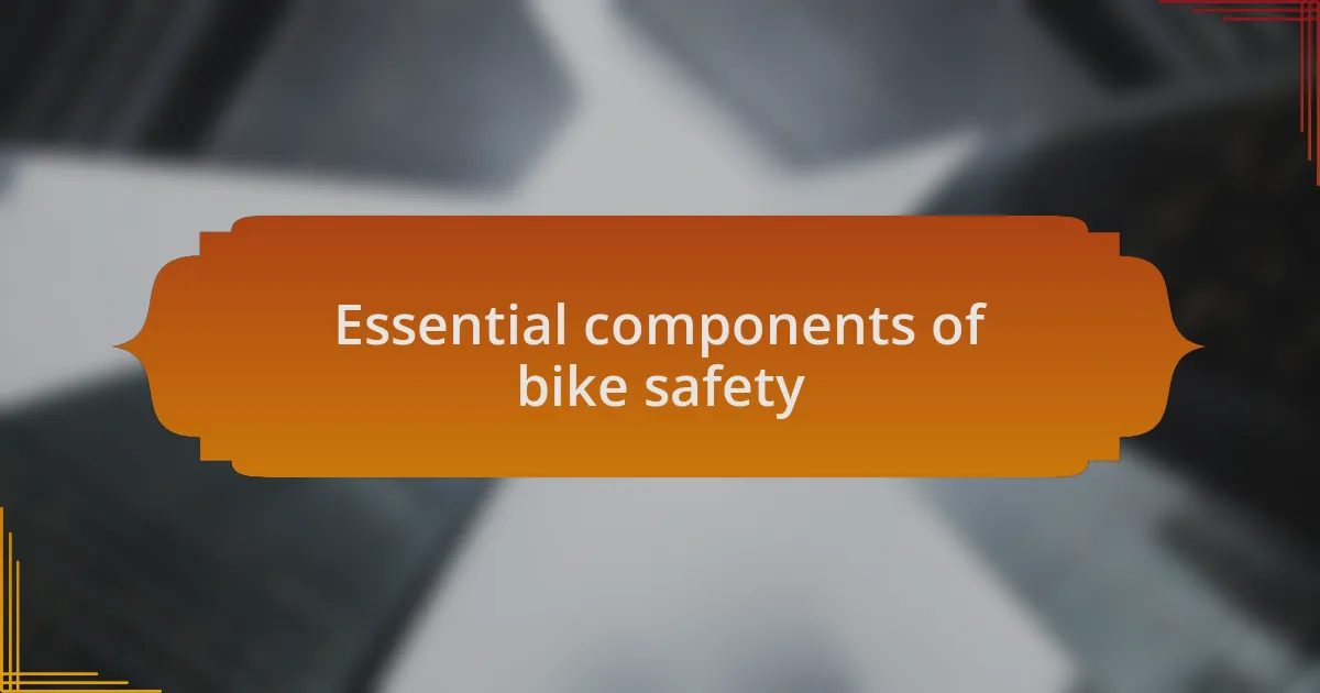 Essential components of bike safety