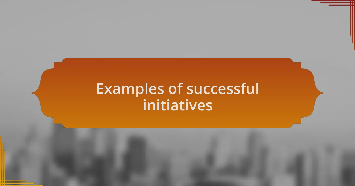 Examples of successful initiatives